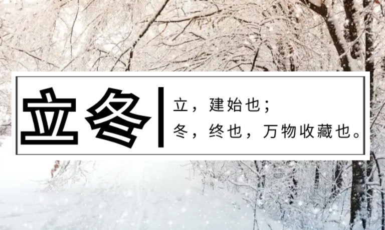 今日立冬 ● 霜染万物，冬之伊始